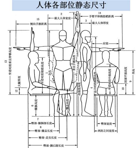 站立視線高度|人机工程学参数分享